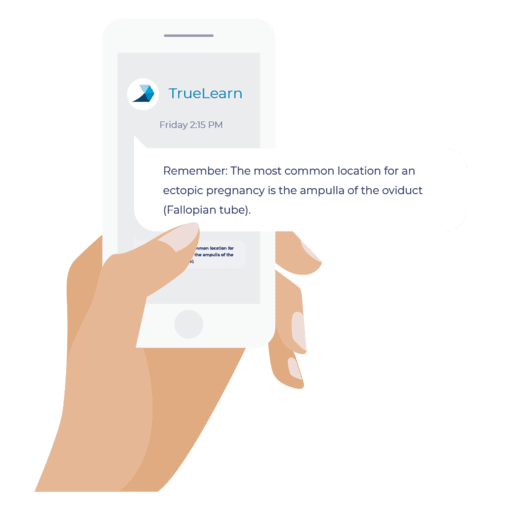 mobile friendly user interface